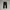 Long Pant Jeans Branded photo 3
