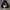 Hoodie Compagno photo 2