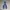 Long Pant GAD photo 6