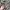 Brush Aeris Beaute x Bubah Alfian 2.0 - B2 Liquid photo 2