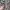 Brush Aeris Beaute X Bubah Alfian 2.0 - B2 Liquid