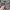 Brush Aeris Beaute x Bubah Alfian 2.0 - B2 Liquid photo 3