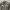Vintage Grunge Bikers Denim Double Pocket Mosh Green Jacket photo 4