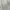 Fairy Minimalist Going out dress Wanita cream photo 5