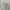 Fairy Minimalist Going out dress Wanita cream photo 3