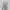 Fairy Minimalist Going out dress Wanita cream photo 1