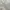Fairy Minimalist Going out dress Wanita cream photo 4