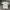 Champion Small Logo Embroidery Jaspo