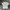 Uniqlo U Blank Tee