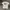 Uniqlo UT X Disnet Graphic Backhit Tee