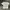 Uniqlo UT X JMB Pocket Tee