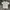 Dickies Small Logo Embroidery Tee