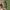 JAM TANGAN MIRAGE ANALOG SILVER BLACK DIAL VTG photo 4