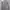 Manset gray photo 2