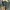 ZARA Streetwear Casual Bomber jacket Pria green photo 3