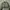 ZARA Streetwear Casual Bomber jacket Pria green photo 1