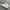 Adidas Casual Sneakers Wanita White