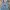 OshKosh Vintage Dungaree Kids blue photo 3