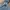 OshKosh Vintage Dungaree Kids blue photo 5