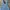 OshKosh Vintage Dungaree Kids blue photo 6