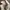 Acne Studios Streetwear Luxury Bag Pria white photo 4