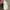 Acne Studios Streetwear Luxury Bag Pria white photo 3