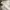 Acne Studios Streetwear Luxury Bag Pria white photo 5