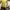 yellow tshirt  photo 2