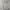 Polo Ralph Lauren Hoodie Y2K Misty Gray