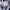 Sportswear Jersey Pria white black photo 6