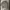 Giordano Vintage Y2K Harrington jacket Pria green gray photo 1