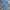 Patagonia Sportswear T-shirt Pria blue photo 1