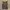 Adidas Streetwear Sportswear Jersey Pria gray yellow photo 1