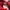 Puma Y2K Casual Sneakers Pria red photo 5