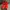 Puma Y2K Casual Sneakers Pria red photo 3