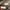 Puma Y2K Casual Sneakers Pria red photo 7