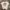 Ed Hardy Luxury Grunge T-shirt Pria white photo 1