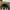 Topi Vintage Dad Hat Mount Hood photo 4