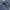 Denim Pants Wrangler Ripped photo 8