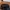 Topi Vintage Dad Hat Farmer John photo 4