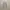 Kemeja Anak Zara Gray Shirt – Size 6 | Revibe photo 3