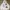 Teenie Weenie Y2K Coquette Hoody Wanita white pink photo 1