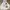Teenie Weenie Y2K Coquette Hoody Wanita White Pink