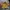 Vintage Reworked Crop top Wanita cream yellow photo 1