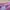 Zara Casual T-shirt Kids Pink