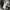 Kapital Faded Boro Drawstring Pants photo 8