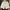 ADIDAS CELANA PENDEK SPORT LOGO PRINTED AUTHENTIC WHITE | UN