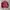 Vintage Streetwear Bomber jacket Pria red photo 3