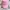 Topi Vondutch Pink
