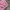 AMI Paris V Neck Knit Cardigan Pink photo 7
